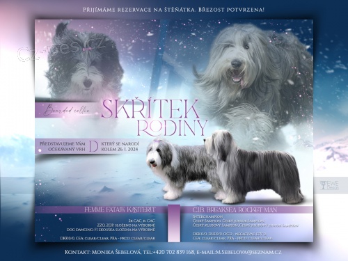 Bearded collie s PP