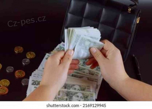 Rychl financovn pjek