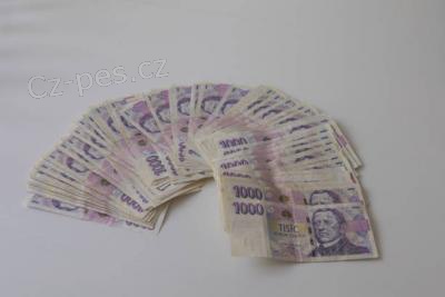 Pjka od soukrom osoby bez podvodu