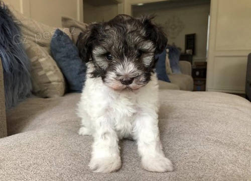 Kn�ra� mal� �t���tka