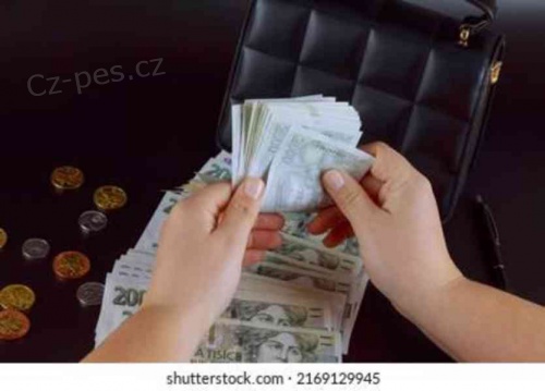 Okam�it� soukrom� p�j�ka