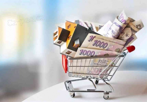 PRO JAK�KOLI TYP P�J�KY: RADOMIRKUSNIR@GMAIL.COM