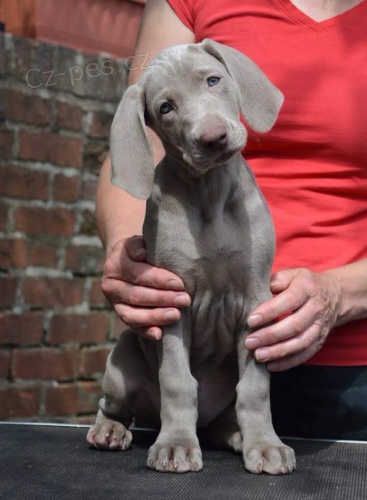 �t��ata v�marsk�ch oha��