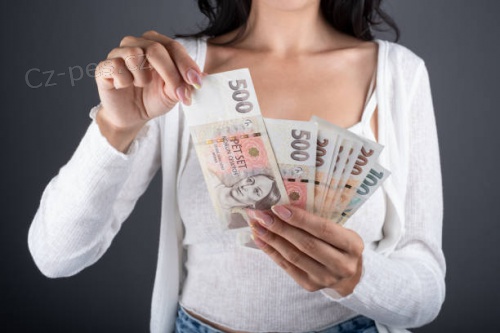 NENABZ PJKU, ZEJMNA DN POTEN POPLATKY.