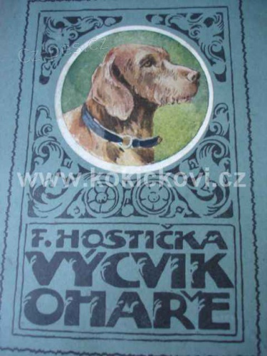 VCVIK OHAE HOSTIKA kniha z roku 1920 