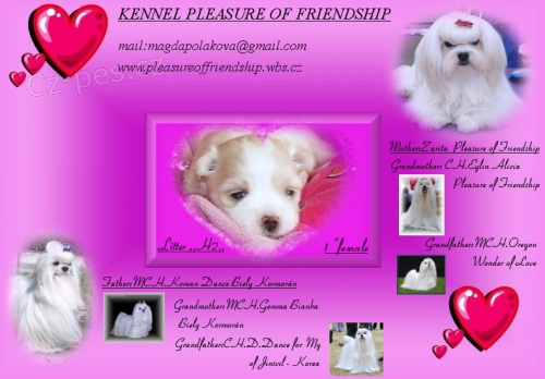 Malt�z��ek s pp