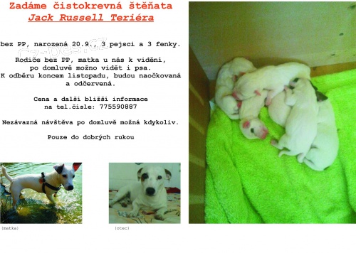 tata JRT