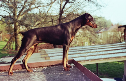 hled�me sourozence