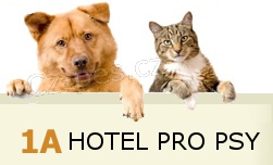 1A Hotel pro psy - ps hotel