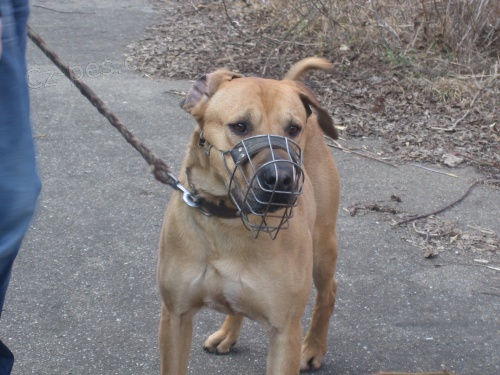 Darujeme do dobr� rodiny na�eho Teryho