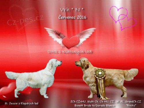 Zlat� retriever - �t��ata s PP