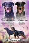 Beauceron s PP-ji k odbru