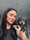 Jezev��k hladkosrst� trpasli�� - fenky k odb�ru