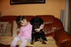 Beauceron-tata s PP