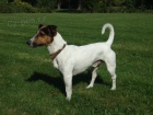 Nabdka kryt JRT
