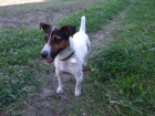 Nabdka kryt JRT