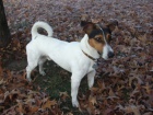 Nabdka kryt JRT