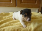 Prodm ttka JRT