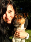 Jack Russel Terier ke kryt
