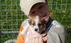 Jack Russell Terir