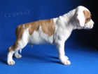 AMSTAFF teniatka s PP