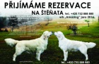 P�ij�m�me rezervace na �t��ata Zlat�ho retrievra