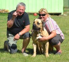 boerboel s pp