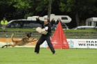 tata belgick ovk- malinois