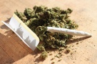Liv marihuana k dispozici.