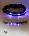 Svtc obojky Glowshine
