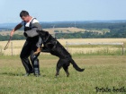 Beauceron tata Slzy Kathar