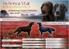 Flat coated retriever s PP