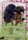 Leonberger teniatka s PP