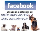 INZERUJTE I NA FACEBOOKU