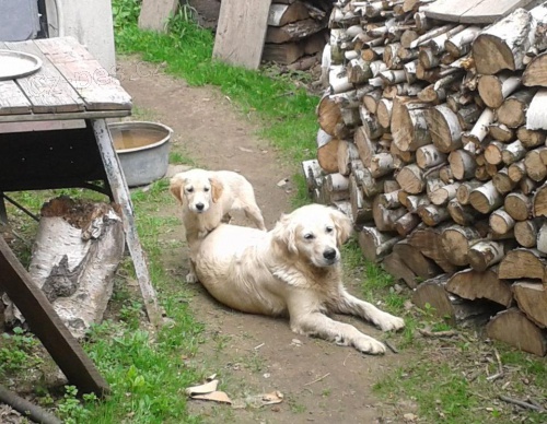 Nala se toulajc fena GR se tntem!!!  Vysoina-Batelov-Rohozn!!!