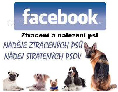 INZERUJTE I NA FACEBOOKU