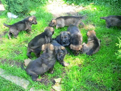 Prod�m �t��ata   NO s PP