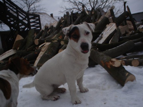 ttka JRT