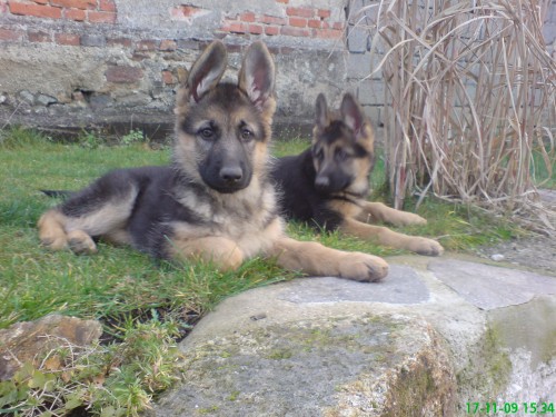 �t��ata NO s PP typ Rex