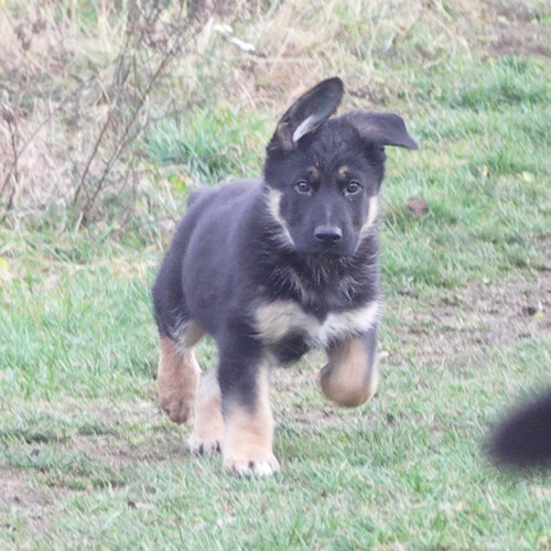 �t��ata NO s PP