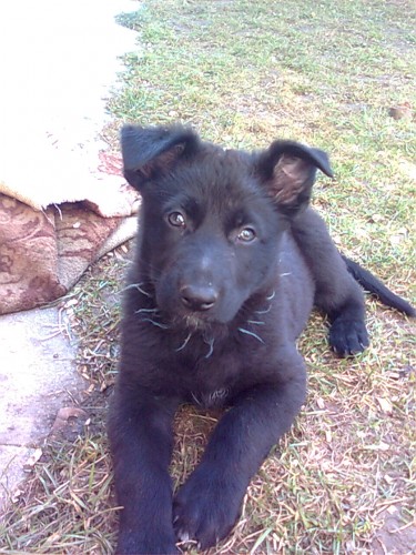 prod�m �t��ata NO s PP