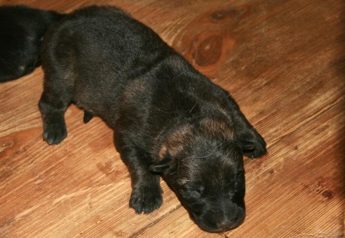 fenka �t�n� NO