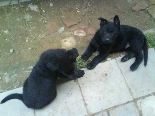 Prod�m �t��ata