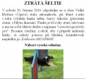 Ztrta eltie - Opava