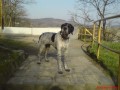 Stle hledme (Brno a okol)