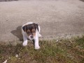 Prodm JRT