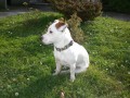 JRT ke kryt