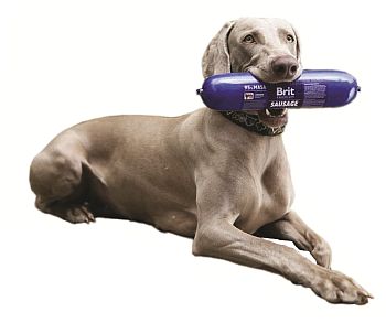 Brit - prevence v��ivou