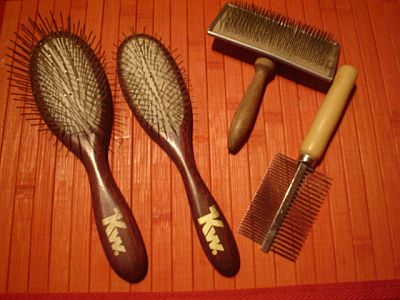 Andulka - koup�n�