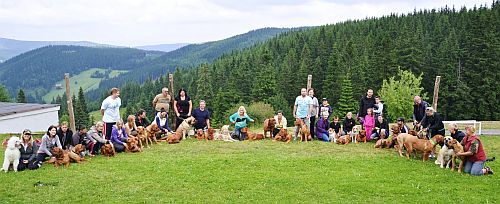 Společné foto